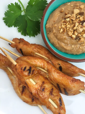 Spicy Chicken Satay with a Peanut Dipping Sauce | Cocktails and Mocktails and Appetizers Recipes